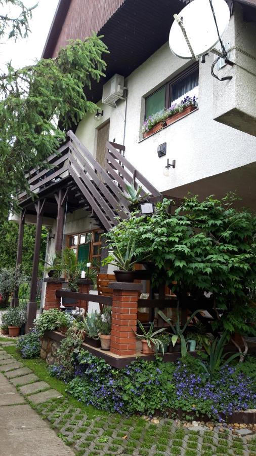 Agave Apartman Velence Buitenkant foto